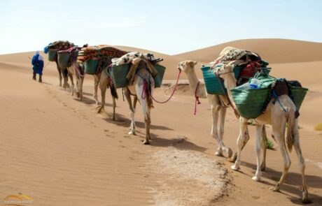 Rencontres à BORDEAUX<br>le dimanche 30 MARS 2025 à 16:30