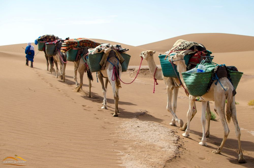RETRAITE « RETOUR A L’ESSENTIEL » 3ème édition – Désert Marocain<br>Du samedi 31 JANVIER au samedi 7 FÉVRIER 2026