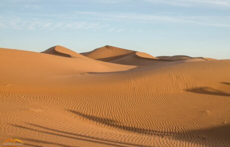 Rencontres à BORDEAUX<br>le dimanche 30 MARS 2025 à 16:30