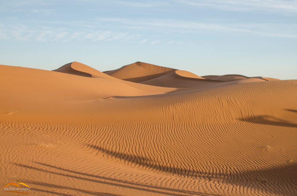 RETRAITE « RETOUR A L’ESSENTIEL » 3ème édition – Désert Marocain<br>Du samedi 31 JANVIER au samedi 7 FÉVRIER 2026