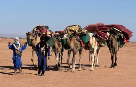 RETRAITE SPÉCIALE COUPLES – Désert Marocain, 3ème édition<br>« RETOUR A L’ESSENTIEL et UNION DES CŒURS »<br>Du samedi 21 NOVEMBRE au samedi 28 NOVEMBRE 2026
